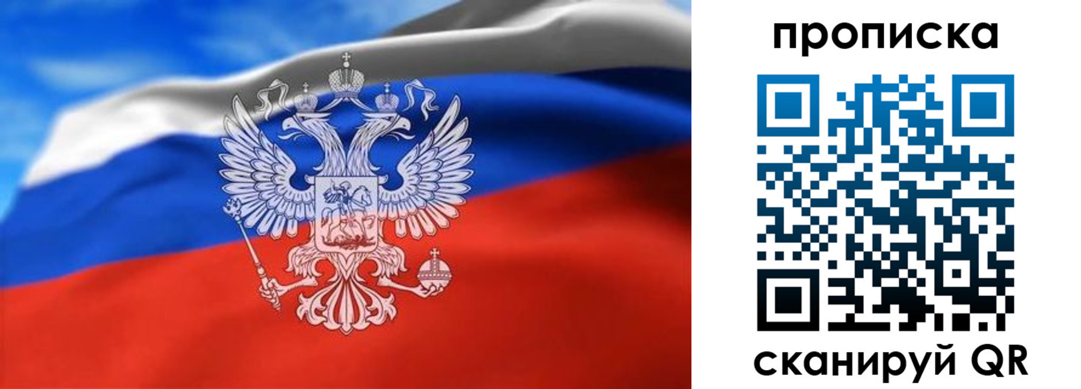 временная регистрация гарантия в Палласовке